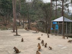 -千岛湖东南湖区