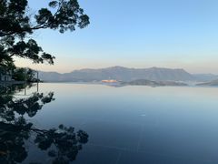 -大埔公路-马料水段香港中文大学(公交站)