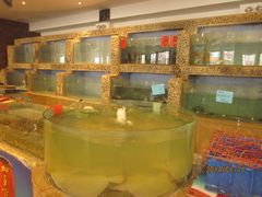 水产区-普天和酒楼·新津菜·烤鸭(天津之眼店)