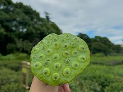 -绿茶餐厅(龙井船宴· 品牌总店)
