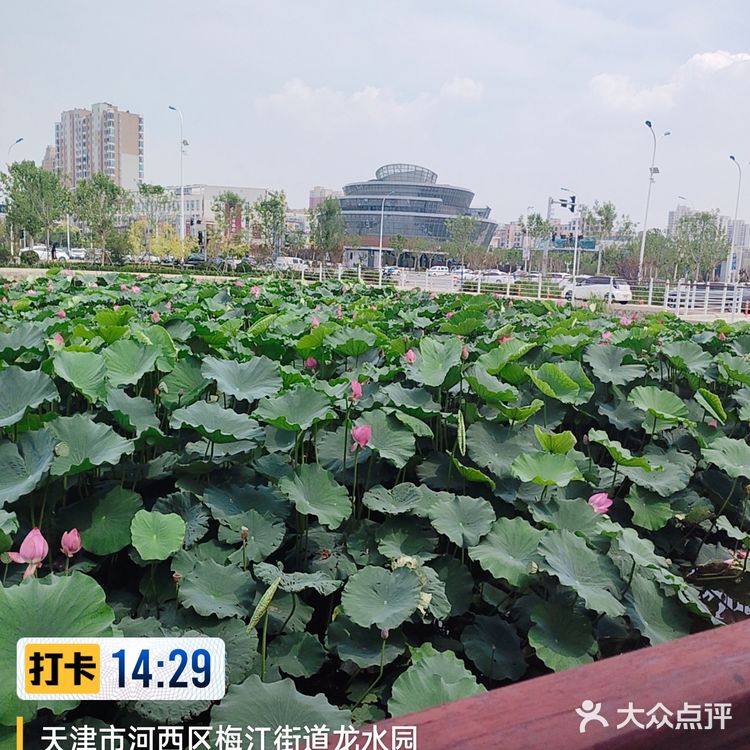 令人惊艳的三个渔夫蒸汽海鲜美味之旅