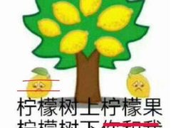 -北京金融街丽思卡尔顿酒店·意味轩 Cepe