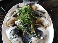 -新合益乡村农庄