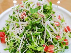 凉拌萝卜苗-渔码头食府·20年蓬莱老字号(登州路店)