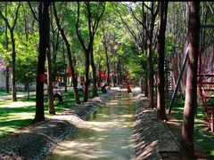 -草根堂农场
