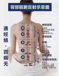 -香薇妮丝女子减肥院