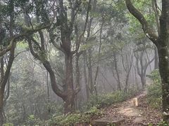 -梧桐山风景名胜区