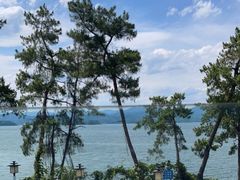 -宝荣鱼馆·临湖之宴(千岛湖店)