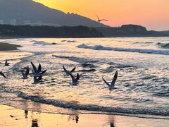 -青岛石老人海水浴场