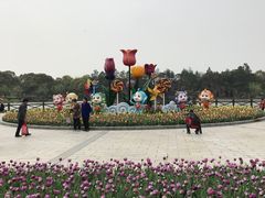 -上海鲜花港