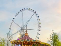 -锦江乐园舞狸花花游园会(夜场专享)