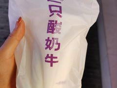 -一只酸奶牛(奎星楼店)