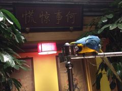 -那家小馆•北京菜•烤鸭(中关村店)