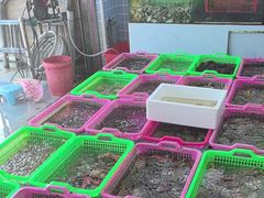 -众味海鲜大排档·活海鲜·潮汕味(南澳店)