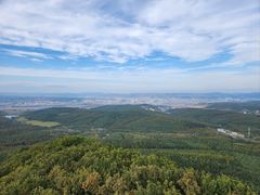 -帽儿山国家森林公园