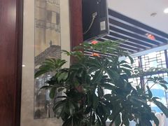 -冶春茶社(珍园店)