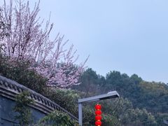 -重庆园博园