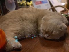 大堂-咖法森林·咖啡  酒吧(天河店)