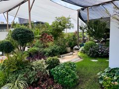 -双季花艺园艺市场(浦东店)