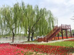 -廊坊文化艺术中心