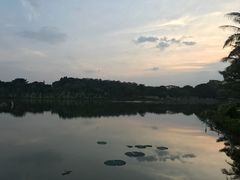 -东莞植物园
