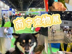 -南宁国际会展中心