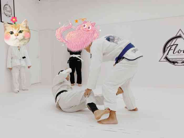 flow 巴西柔术馆武术格斗-"幸运抽中体验机会,第一次实际体验了下潜抱