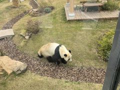 -无锡动物园·太湖欢乐园