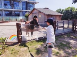 -造物庄园 萌宠纪(苏州湾歌林公园店)