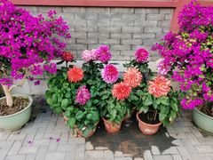 -三人行骨头王火锅(长寿店)