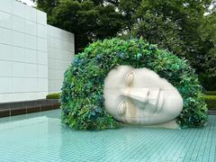 -雕刻之森美术馆