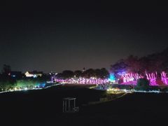-大塘金香草谷