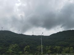 -钱大妈海鲜饭店(保利林语店)