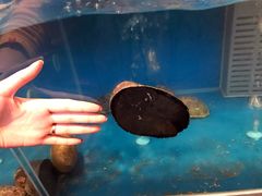 -同乐酒楼(皇后镇店)