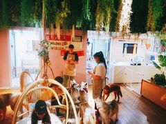 -Husky Go! 哈士奇体验馆·宠物咖啡厅狗咖