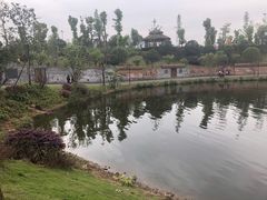 -枫香湖儿童公园