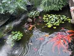 -凤凰山斑鱼馆(恭城店)