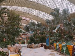 -杭州开元森泊度假乐园