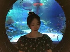 -沈阳海洋探索中心