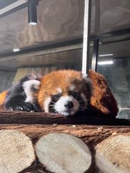 -Zoolung Zoolung动物主题公园(海信广场店)