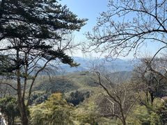 -莫干山风景区