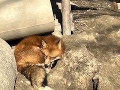 -宁波野生动物园