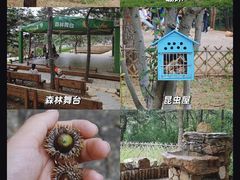 -北京西山国家森林公园