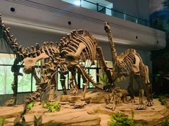 -自贡恐龙博物馆