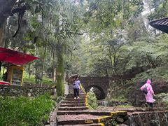 -山沟沟景区