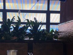 -和牛食堂•BISTRO(广州首店)