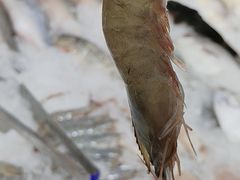 -幸福荣耀超市(学院路店)