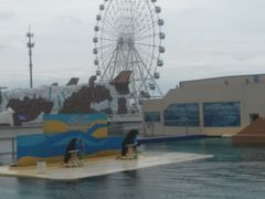 -秦皇岛乐岛海洋王国