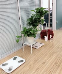 -维纳斯专业减肥