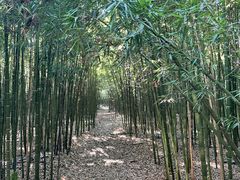 -同里国家湿地公园